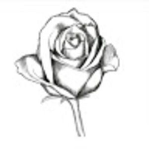 Meet your Posher, Miranda